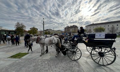 È partita da Cuneo la seconda edizione del “Paradriving Piemonte - Ruote e Zoccoli”