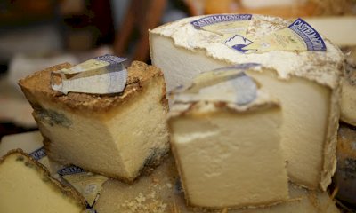 Uno show cooking Coldiretti dedicato al Castelmagno DOP