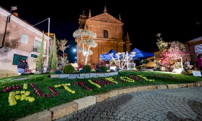 Fiori e frutti protagonisti a Lagnasco: al via Fruttinfiore