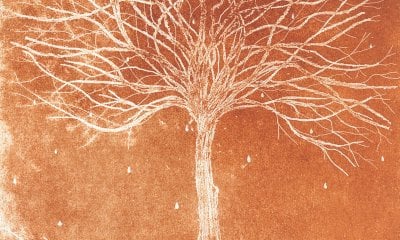 In biblioteca ad Alba la mostra “Acqua Fortis” dell'artista Roberta Giacobbi