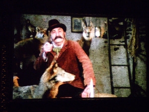 Il Centro dedicato al lupo aperto al pubblico