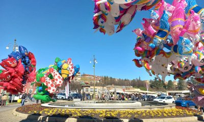 Fiori e giardini: Mondovì si colora per la Fiera di Primavera con l’estro di Mimma Pallavicini 