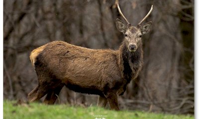 Una serata dedicata a natura e fotografia con Fulvio Beltrando