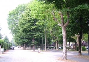 Per questo fine settimana niente area pedonale in viale Angeli