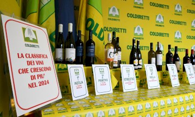 Il Nebbiolo è nella top ten per incremento delle vendite in Italia nel 2024