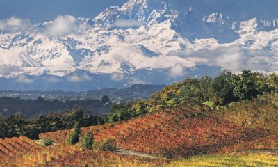 A Palazzo Lascaris fino al 30 maggio la mostra “La meraviglia Unesco di Langhe Roero e Monferrato”