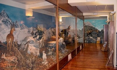 Aperture speciali del Museo Naturalistico del fiume Po di Revello per le festività primaverili