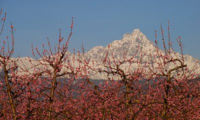 Sabato 19 aprile una camminata alla scoperta della collina saluzzese