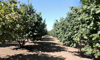 Tra cambiamenti climatici e malattie: un progetto di ricerca per 