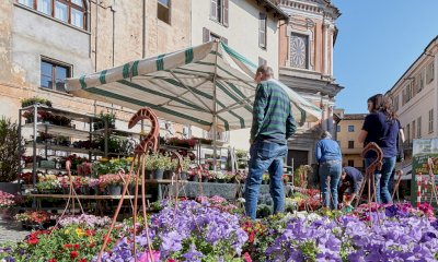 A Savigliano torna “QuintEssenza” tra erbe officinali, fiori, essenze naturali e spezie