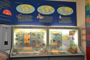 Una conferenza su minerali e rocce