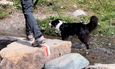 Sul Sentiero delle Ochette per imparare a vivere esperienze all'aperto con il proprio cane