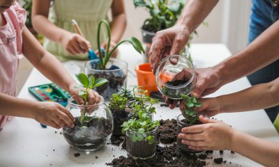 Apprendimento, creatività, connessione con la natura: a Revello si impara a costruire un terrario