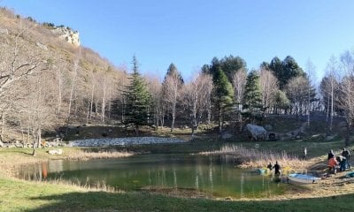 Il Parco Alpi Marittime ha eradicato il pesce persico sole dal lago della Madonna di Alto