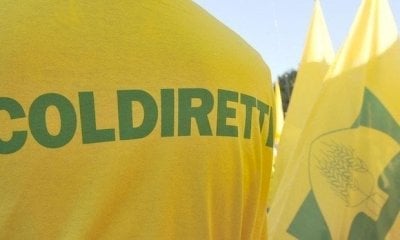 Lavoro, Coldiretti Cuneo: 