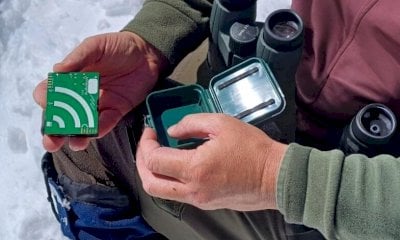 L’intelligenza artificiale, una nuova alleata per i monitoraggi faunistici nel Parco del Monviso