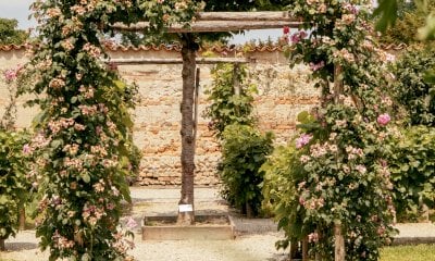 Cherasco, secondo appuntamento dei “Walking Tours”: i giardini da mangiare