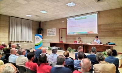 L’attività del 2024 del CSV Cuneo: 2.997 servizi e attività rivolti a 1284 utenti