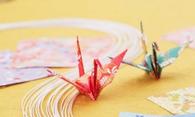 Un laboratorio di origami per adulti ad Alba