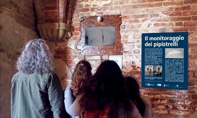 Un nuovo sistema video per osservare i pipistrelli dell’Abbazia di Staffarda