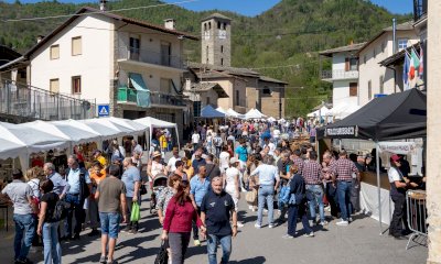 In 10 mila a Brossasco per la Festa del Legno