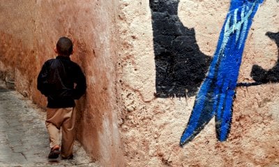 Maggio in immagini: il mese della fotografia all'associazione Alec