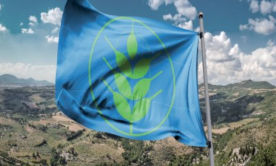 Ritorna il programma “Spighe Verdi” per i Comuni rurali virtuosi e sostenibili