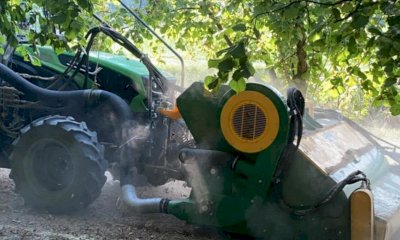 “Il Nocciolo – Prove in campo”: a Cherasco il nuovo evento per aziende e produttori corilicoli