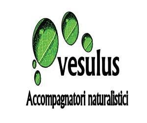 Yoga nel cuore della foresta