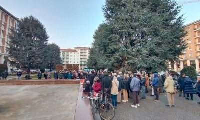 “Cuneo lancia il Festival del Verde, ma il Comune vuole abbattere i cedri di piazza Europa”