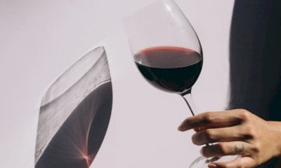 Ad Alba un nuovo corso di alta formazione gratuita dedicata al mondo del vino
