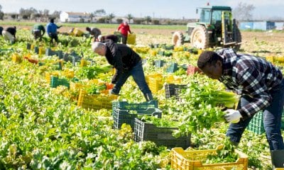 Nel 2024 i lavoratori stranieri residenti nella Granda hanno inviato in patria 68 milioni di euro