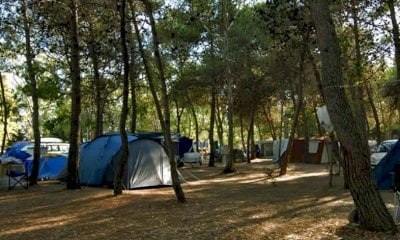 Tranquillo Manoni confermato presidente di Faita-Federcamping Piemonte