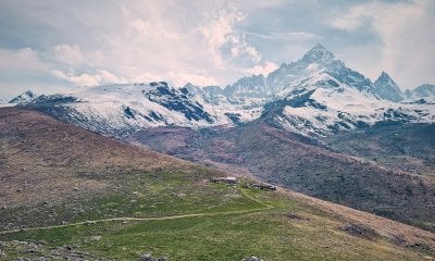 Alla scoperta di erbe, fiori e piante spontanee al Bric Arpiol