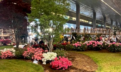 “Clorofilla 2025”: un weekend ad Alba tra fiori, giochi e la bellezza della natura