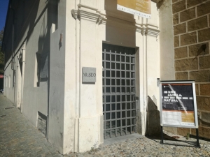 'I fantasmi sulla torre': Halloween al museo Civico di Cuneo