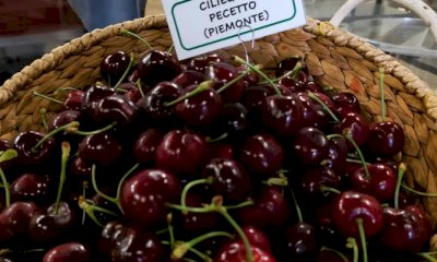 Giornata della Biodiversità, Coldiretti Piemonte: “Italia leader con il patrimonio più green d’Europa”