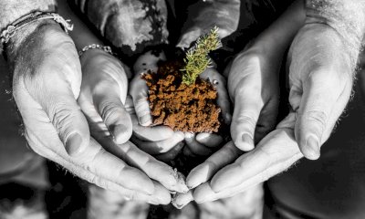 Gli Orti di Nonna Domenica: tradizione, amore per la terra e passione per l’educazione ambientale