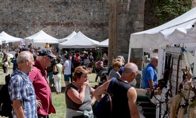 Torna a Vinadio “Forte in fiore”, un ricco fine settimana tra profumi e colori
