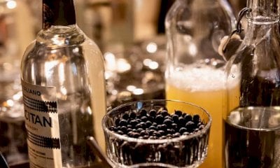 A Mondovì arriva il Festival italiano del Gin e del Ginepro
