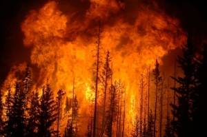 Nelle ultime due settimane più di 160 interventi per spegnere incendi boschivi: 'Stato di massima pericolosità'
