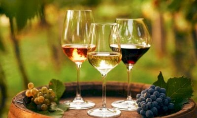 Vino, Coldiretti Cuneo: 