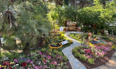 Un’aiuola albese per l’evento internazionale Cervia Città Giardino