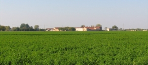 44enne sorpreso a rubare foraggio presso la cascina Robella