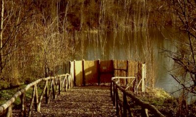 Un'area naturalistica al posto della cava dell'Asti-Cuneo a Cherasco: 