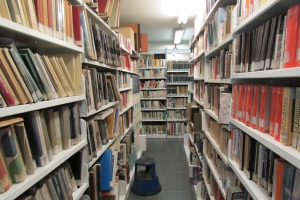 Bra: la storia di 'Rosaspina' in biblioteca