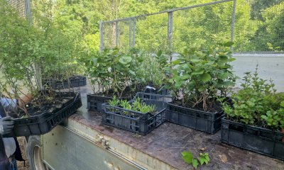 A Racconigi si inaugura l’oasi per api e insetti impollinatori