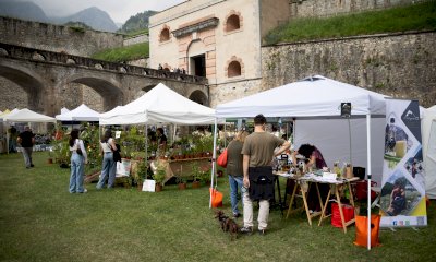 Tutto pronto a Vinadio per un fine settimana tra profumi e aromi con “Forte in fiore”