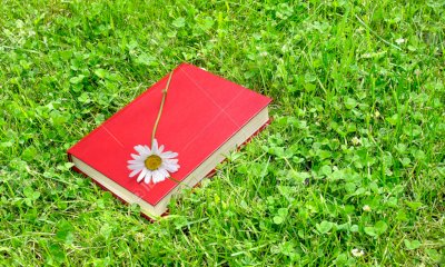 Oltre la Biblioteca: a Bra letture ad alta voce e prestito libri nelle aree verdi della città