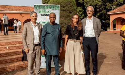 LVIA in Guinea-Bissau: conferenza internazionale sulla risicoltura di mangrovia